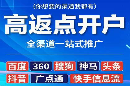 某行业领军企业的SEM广告投放策略
